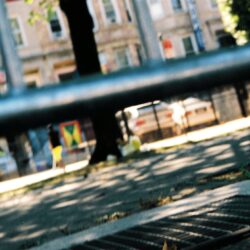 Low-angle city park scene with metal railing