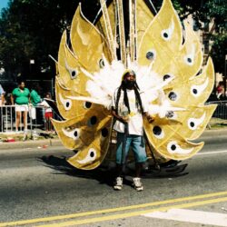 Parade performer wearing large golden feathered costume