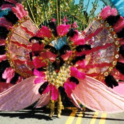 Bright pink feathered carnival parade costume