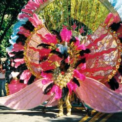 Carnival performer in large pink feathered costume