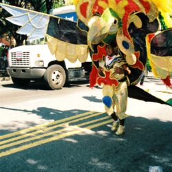 Parade performer in large colorful bird costume