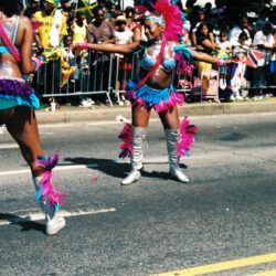 Colorful carnival dancer in pink feathered costume