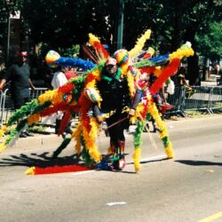 Parade performer wearing huge multicolored feathered costume