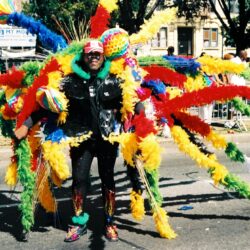 Person in vibrant feathered parade costume