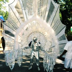 Person wearing large silver feathered carnival costume