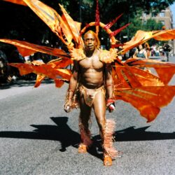 Carnival performer wearing large orange winged costume