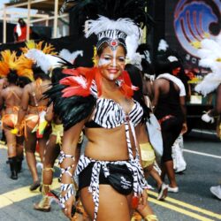 Smiling carnival dancer in zebra feather costume