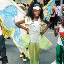 Child in green butterfly carnival costume