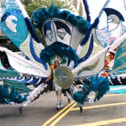 Person in elaborate blue feathered carnival costume