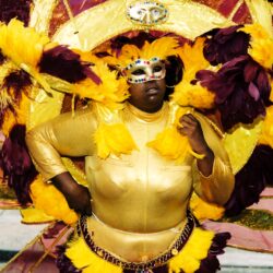 Masked person in yellow and purple carnival costume