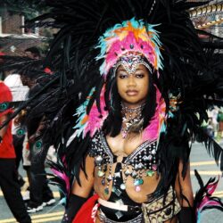 Person in elaborate feathered carnival costume