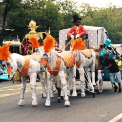 Parade with costumed white horses and performer