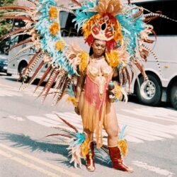 Carnival performer with large colorful feathered costume