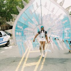 Person in large blue winged carnival costume