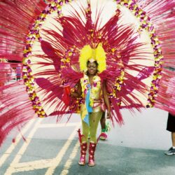 Carnival performer with giant pink feathered headdress