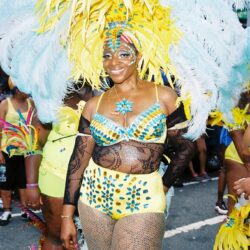 Person in yellow and blue carnival costume