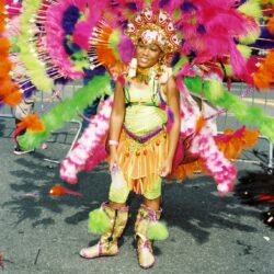 Person in vibrant feathered carnival costume