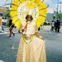 Person in yellow feathered carnival costume