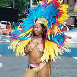 Carnival dancer in vibrant feathered headdress