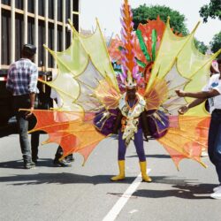 Child in colorful carnival costume with wings