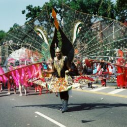 Carnival performer with giant peacock-like costume