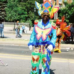 Person in vibrant butterfly-themed parade costume