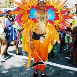 Carnival participant in vibrant feathered costume