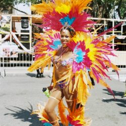 Person in colorful feathered carnival costume