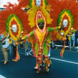 Colorful carnival dancer in elaborate feathered costume