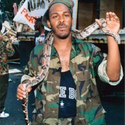 Man in camouflage holding a large snake