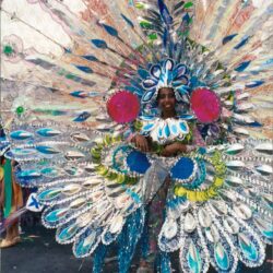Performer in peacock-style carnival costume