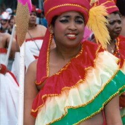 Carnival parade participant wearing colorful feathered costume