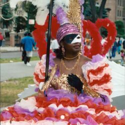 Masked person in vibrant feathered carnival costume