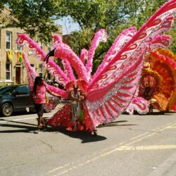 Parade performers in large pink feathered costumes