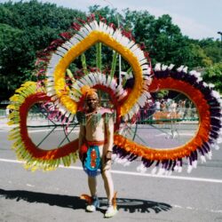 Person wearing vibrant feathered parade costume