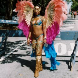 Carnival performer with large pink feathered wings
