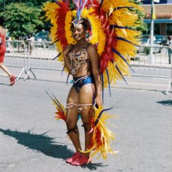 Woman in vibrant feathered carnival parade costume