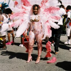 Carnival dancer in pink and white feathered costume