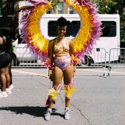 Person in vibrant feathered carnival costume