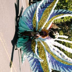 Person in large colorful feathered carnival costume