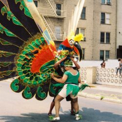 Parade performers wearing large colorful feathered costumes