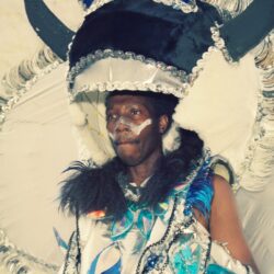 Person wearing blue and silver carnival headdress