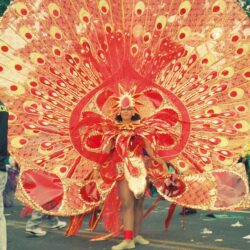 Performer in elaborate red carnival feathered costume