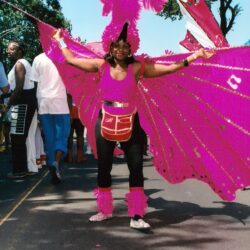 Person wearing bright pink carnival wings and headpiece