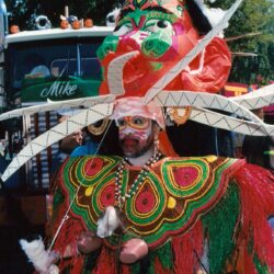 Colorful masked carnival performer with feathered headdress