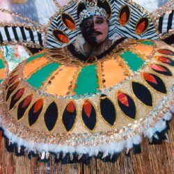 Person wearing large ornate colorful carnival headdress