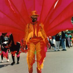 Person in orange carnival costume with red wings