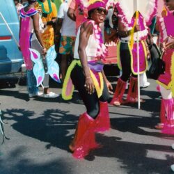 Colorful carnival dancers in pink feathered costumes