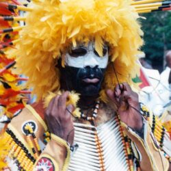 Person in yellow feathered headdress and face paint