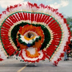 Carnival performer in giant colorful feathered costume